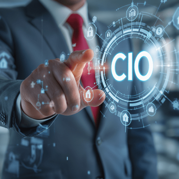 Virtual CIO Services